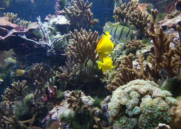 Inselidylle Villa Kunterbunt Fehmarn