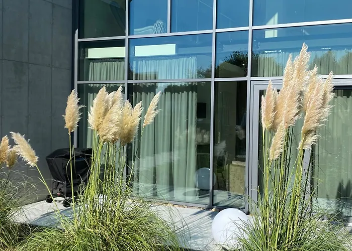 Villa Happynest Ostseeheilbad Ostseeheilbad Zingst