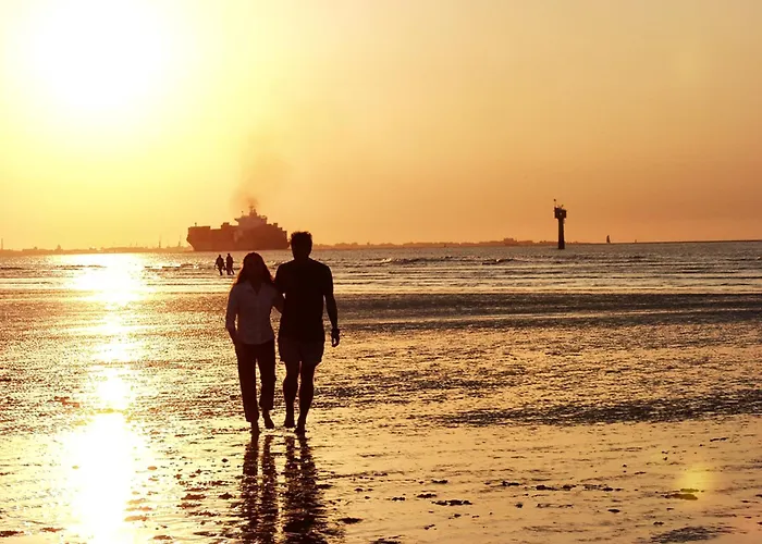 Ferienhaus Austernfischer Otterndorf