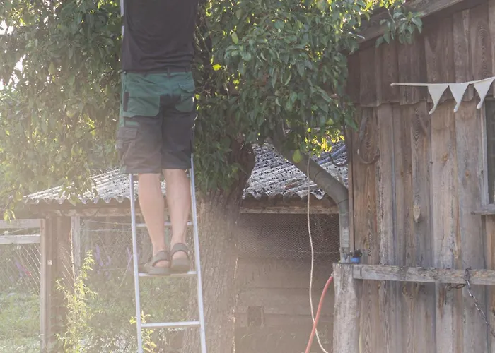 Ferienhof Bahlens-Schur Friedland 