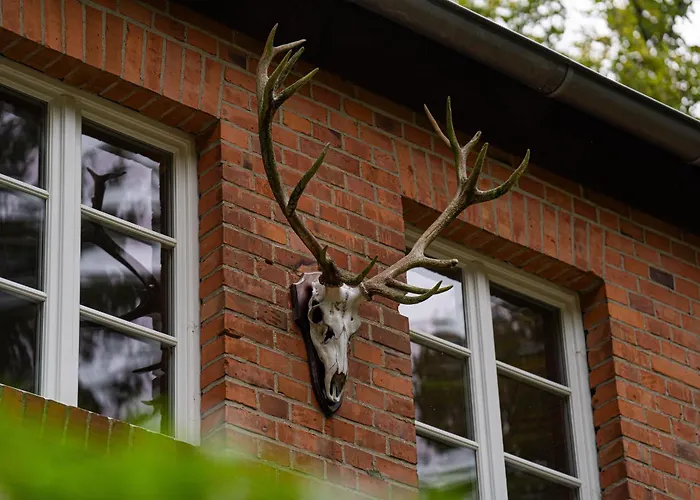 Wald- und Seeidyll im historischen Forsthaus Neuruppin