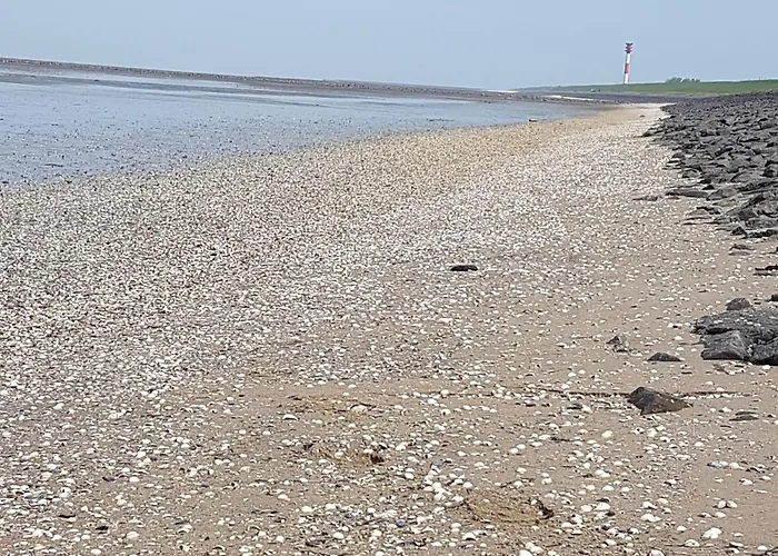 Haus am Meer Eckwarden Butjadingen