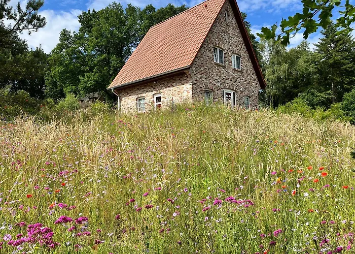 Villa Bispinger Heidezauber - Haus Felsenbirne Bispingen