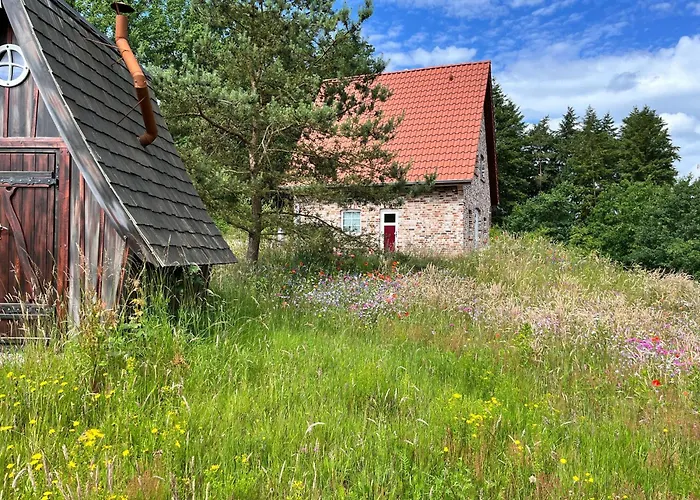 Villa Bispinger Heidezauber - Haus Felsenbirne Bispingen