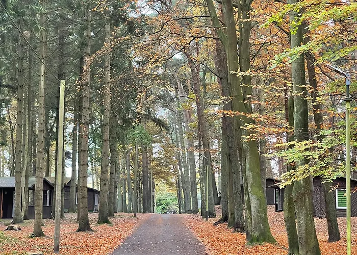 Feriendorf Fynnus Dranske