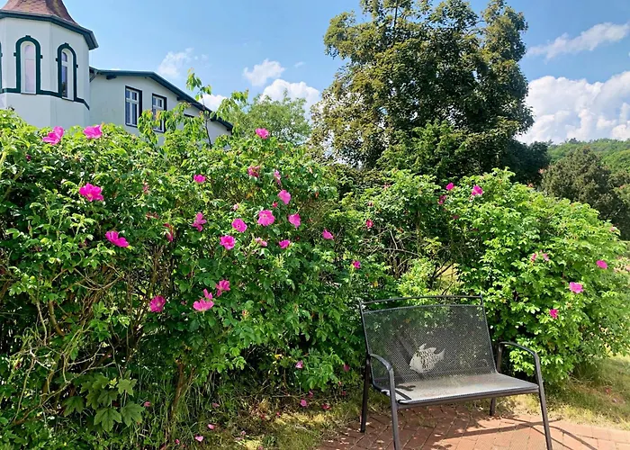 Ferienhaus Erika Ostseebad Heringsdorf