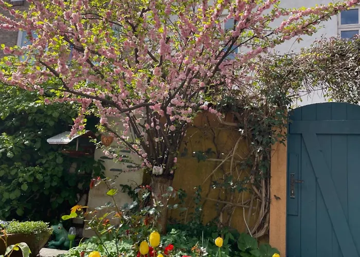 Klosterhäuschen in Stralsund