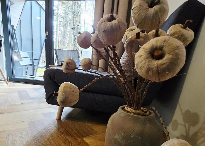 Villa Fly House Leba