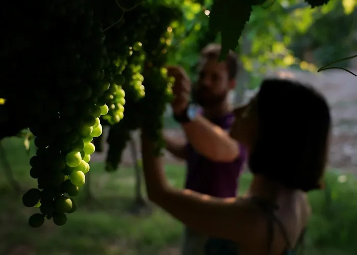 Agriturismo Ai Dossi Verona