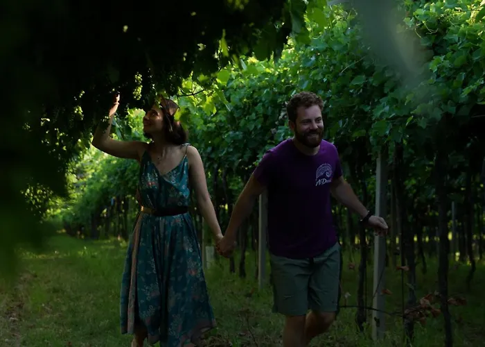 Agriturismo Ai Dossi Verona