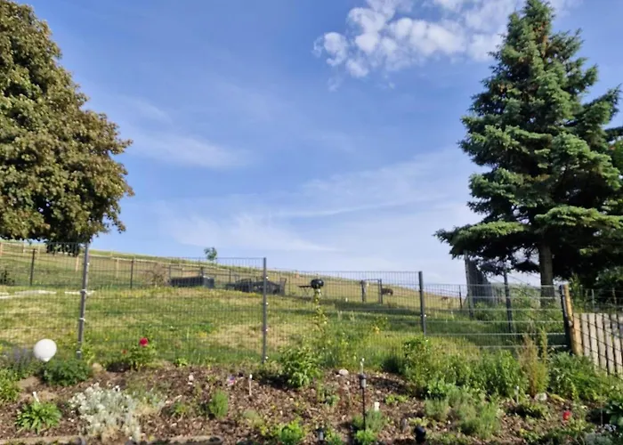 Ferienhaus Alpakahof Goslar