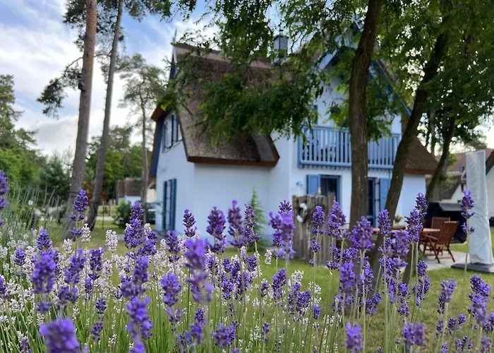 Ferienhaus Silbermöwe-136 qm mit Sauna, Kamin&2 Terrassen Zirchow