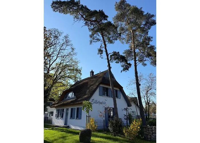 Ferienhaus Silbermöwe-136 qm mit Sauna, Kamin&2 Terrassen Zirchow