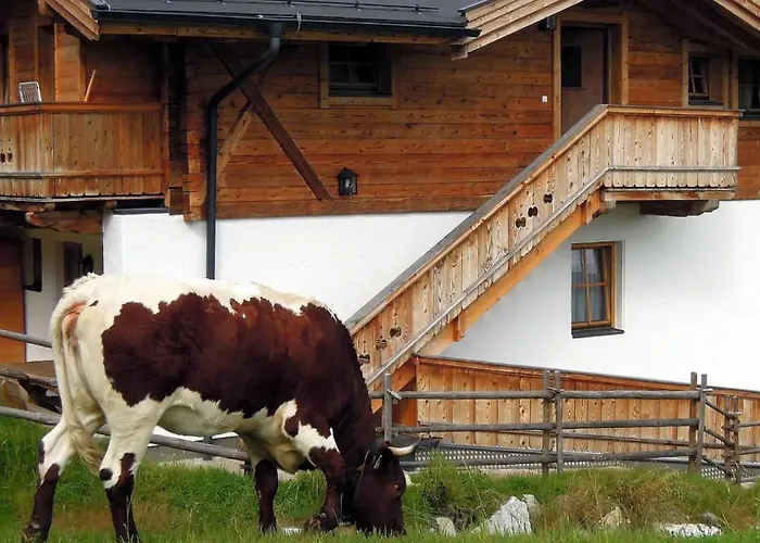 Skihütte Silberleiten, 14 Personen Krimml