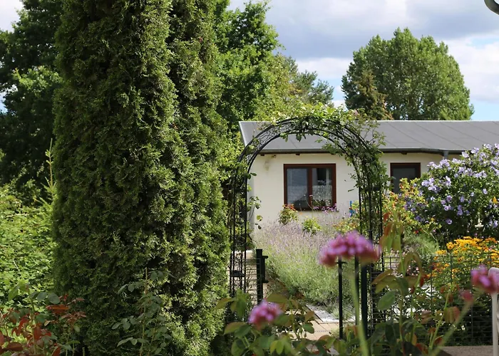 Bungalow Carpe diem Ostseebad Heringsdorf