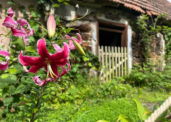 Villa Cosy Lehde Lübbenau
