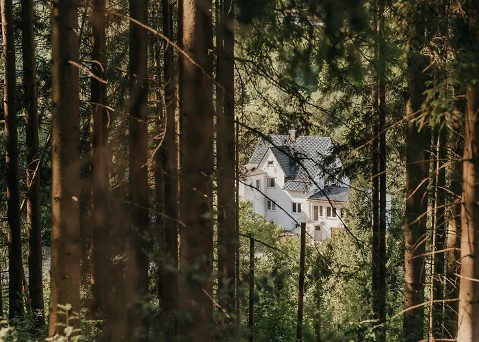 Villa Hoheneck Wildemann