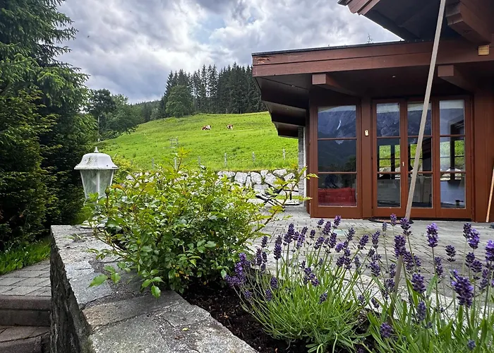 Chalet Steinberg Leogang