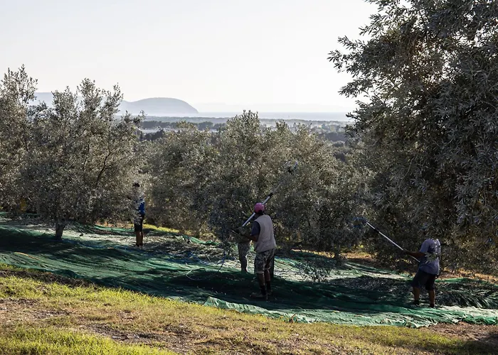Agriturismo Podere L'Agave San Vincenzo