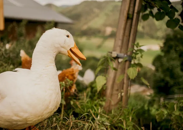 Villa Hoferhof Schladming
