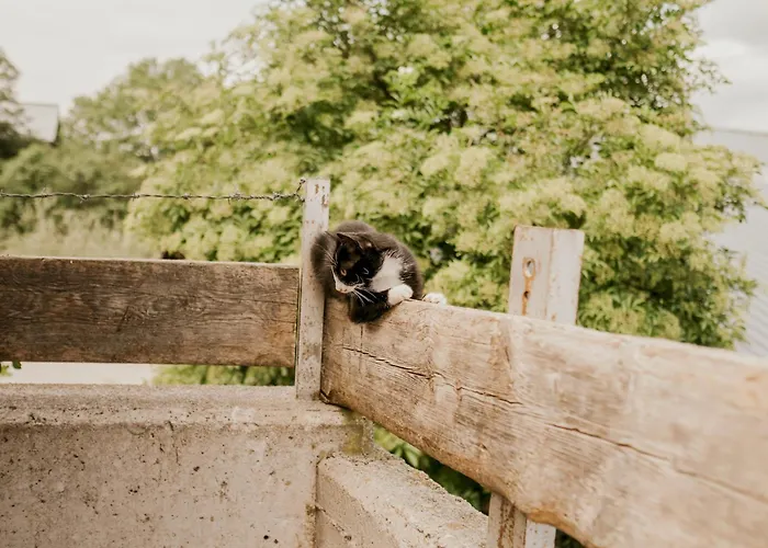 Villa Hoferhof Schladming