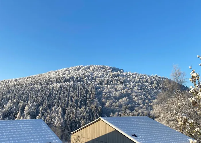 Sauerland Lodge - Haus Juliana Winterberg