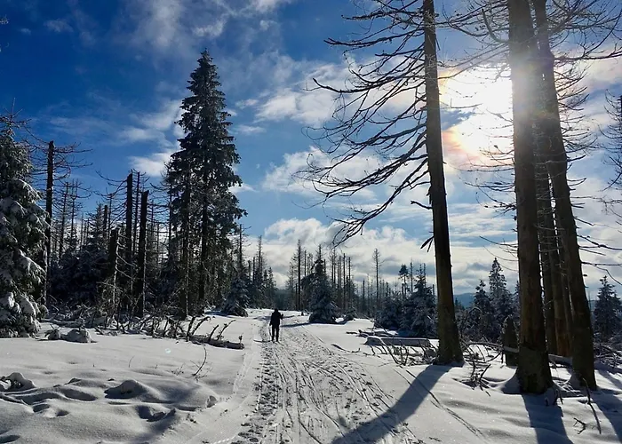Ferienhaus Nr 24, Typ A, Ferienanlage Blauvogel, Hasselfelde, Harz
