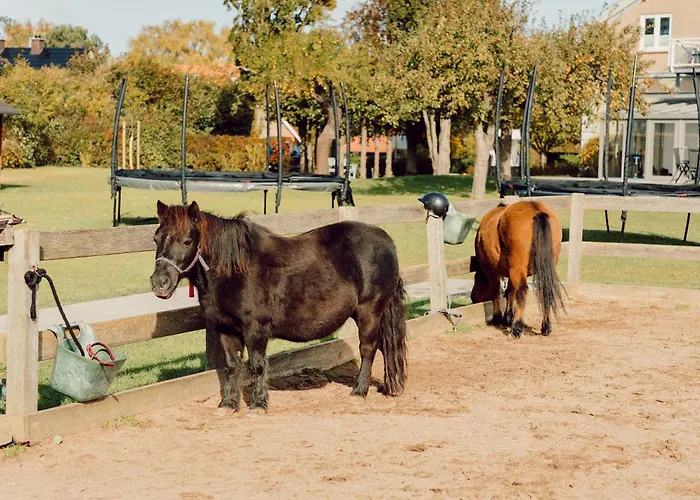 Büdlfarm - Der Familien-Erlebnishof in Strandnähe Fehmarn