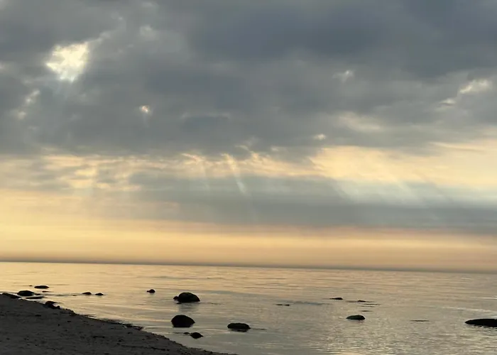 Feriensiedlung Schwalbennest - Premium Bungalow am Strand Dranske