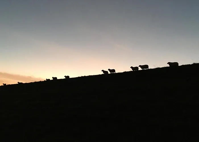 Nordseeresort Tossens - Seaside Corner