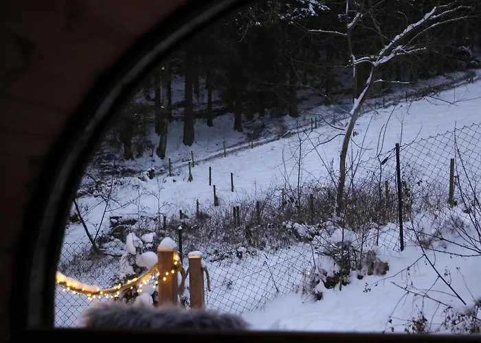 Villa Tiny House Klitzeklein Am Waldrand Von Elpe Olsberg