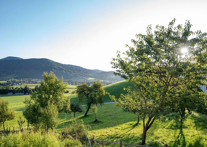 Ferienhaus WANDL mit Sauna und Fitness Studio Ruhpolding