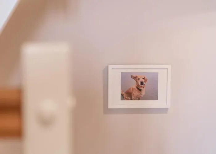 Villa Reetdachhaus ASK EMBLA Reetdachhaus EMBLA Böhl