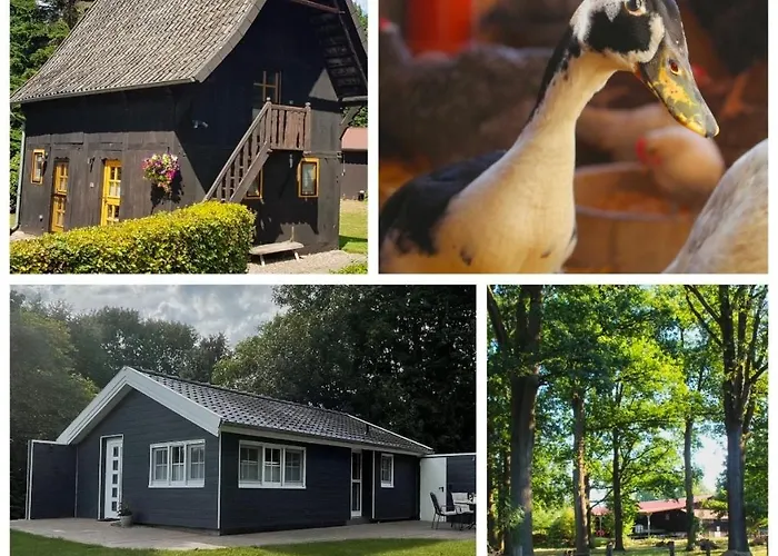 Villa Hof von Felde Soltau