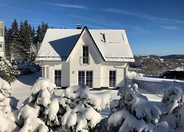 Villa Schneekäppchen 2 Winterberg
