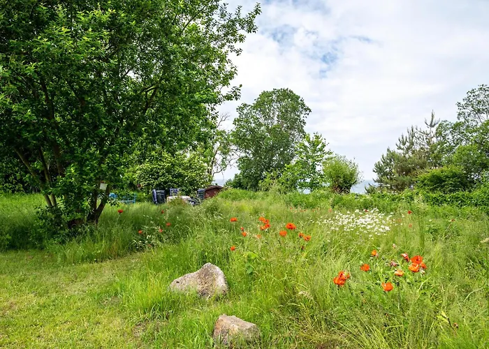 Möve Aba Bungalow 63 Rerik