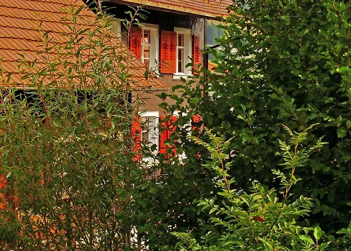 Schwarzwaldbauernhaus Bernau