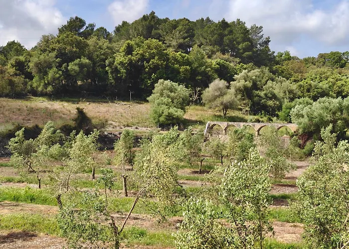 Agroturisme Son Cardaix Artá