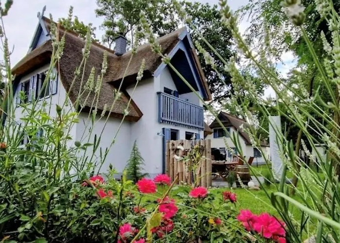 Ferienhaus Silbermöwe-136 qm mit Sauna, Kamin&2 Terrassen Zirchow