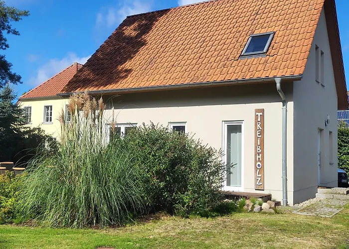 Ferienhaus Treibholz Prerow
