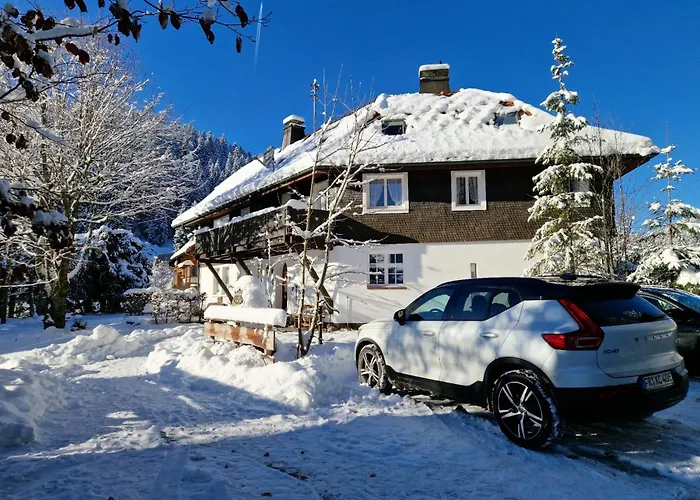 Villa Altes Zollhüsli Schluchsee