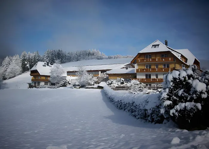 Villa Bühlhof Waldau Titisee-Neustadt