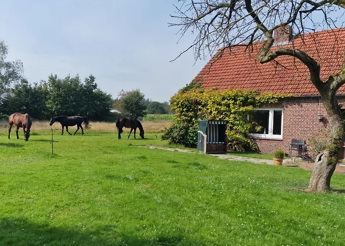 Ferienhaus Suhr Wittmund