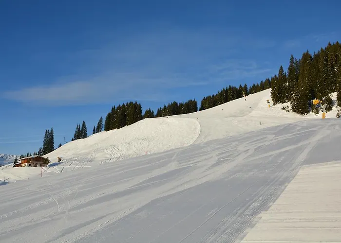 Wallegg Lodge - Alpine Premium Chalet - Ski In-Ski Out - Real Alpine Location Saalbach