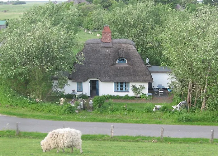 Villa Ferienkate Kap Eiderstedt Westerhever