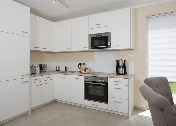 Küstensegler Breege