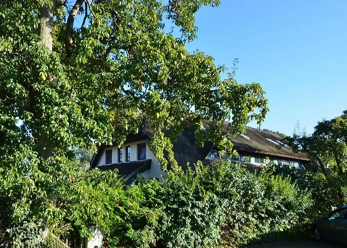 Ferienhaus Strandflieder in Groß Zicker/Halbinsel Mönchgut