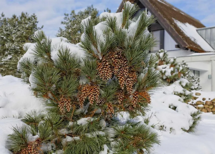 Villa Kapitänsweg 18 Karlshagen