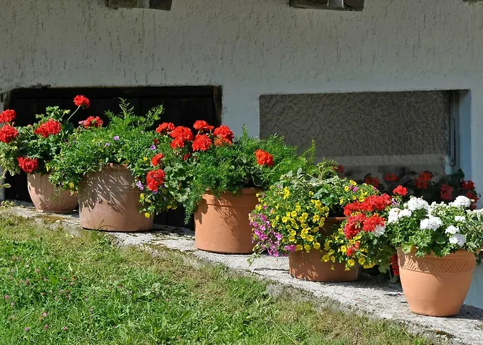 Kerschbaumerhof Schladming