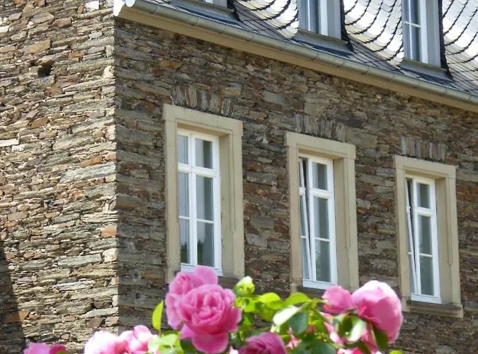 Villa Winzerhaus Andel Bernkastel-Kues